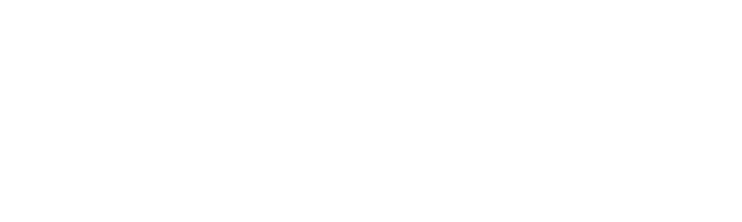 Zetor logo white